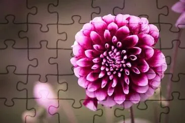 Imagem jigsaw puzzle