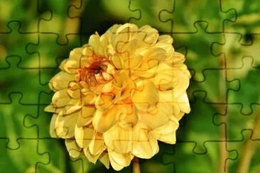 Imagem jigsaw puzzle