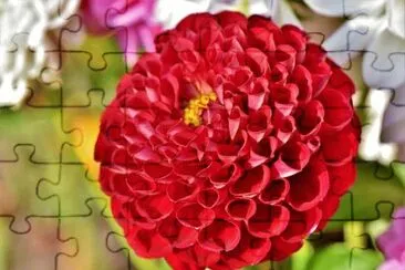 Imagem jigsaw puzzle