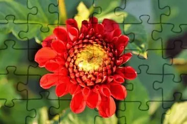 Imagem jigsaw puzzle