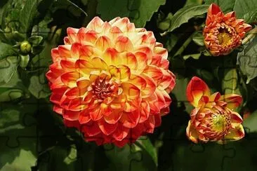 Imagem jigsaw puzzle