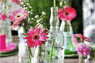 flores