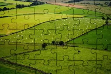 Imagem jigsaw puzzle