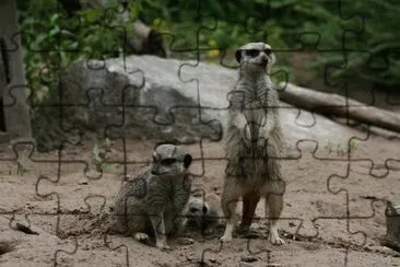 Imagem jigsaw puzzle