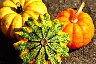 Imagem jigsaw puzzle
