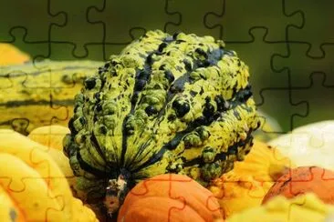 Imagem jigsaw puzzle