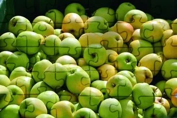Foto jigsaw puzzle
