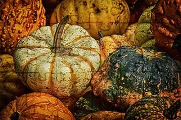 Imagem jigsaw puzzle
