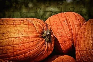 Imagem jigsaw puzzle
