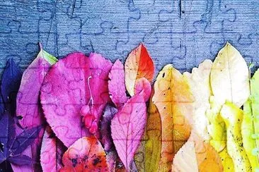 cores