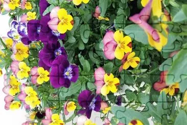 flores