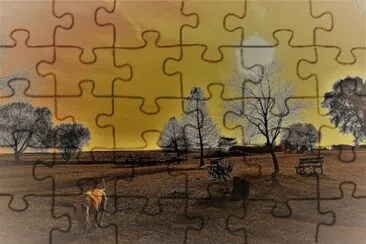paseo jigsaw puzzle