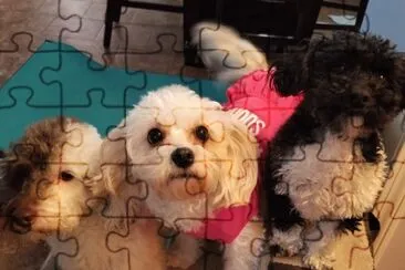 general jigsaw puzzle