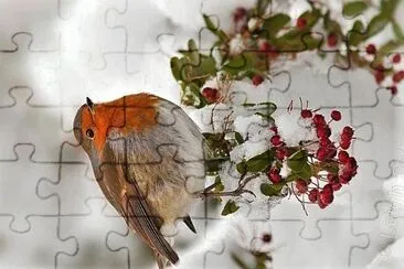 arte jigsaw puzzle