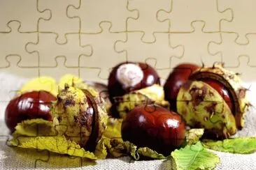 Imagem jigsaw puzzle