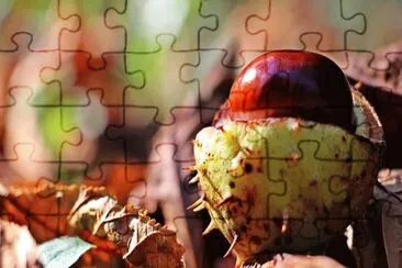Imagem jigsaw puzzle