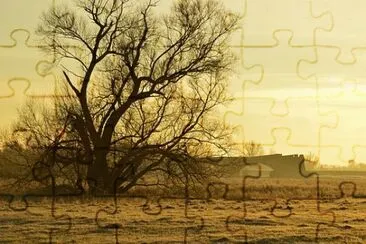 Imagem jigsaw puzzle