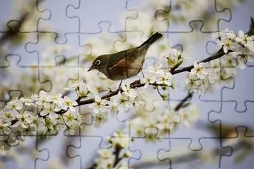 פאזל של Imagem
