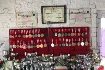 Trofeos de Karate