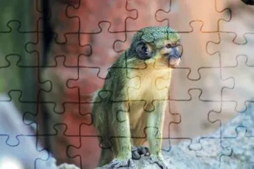 Imagem jigsaw puzzle