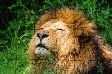 Imagem jigsaw puzzle