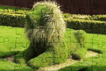 Imagem jigsaw puzzle