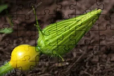 Imagem jigsaw puzzle