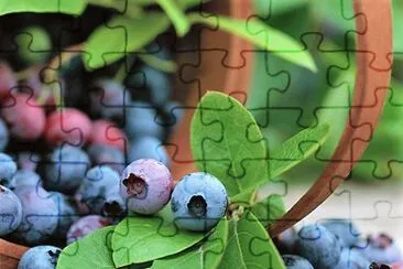frutas