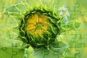 Imagem jigsaw puzzle