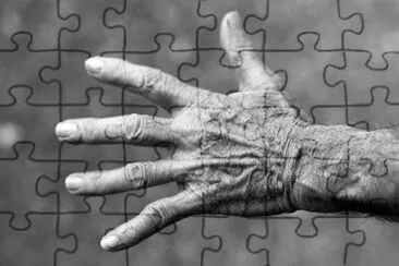 Imagem jigsaw puzzle