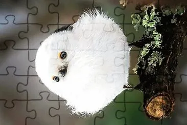 natural jigsaw puzzle