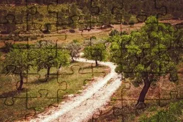 Imagem jigsaw puzzle