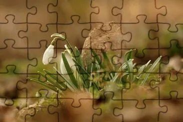 Imagem jigsaw puzzle