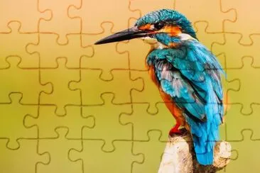 Imagem jigsaw puzzle