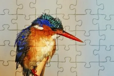 Imagem jigsaw puzzle