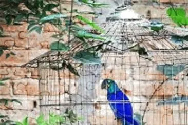 Imagem jigsaw puzzle