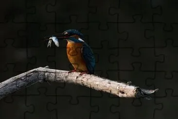 Imagem jigsaw puzzle