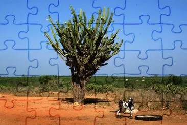 Imagem jigsaw puzzle