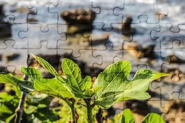 Imagem jigsaw puzzle