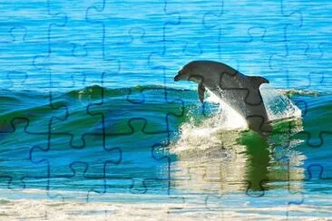  jigsaw puzzle