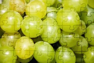 Imagem jigsaw puzzle