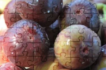 פאזל של Imagem