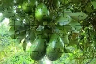 Imagem jigsaw puzzle
