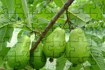 Imagem jigsaw puzzle