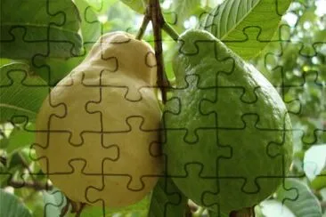 Imagem jigsaw puzzle