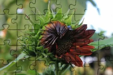 Imagem jigsaw puzzle