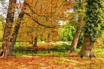 Imagem jigsaw puzzle