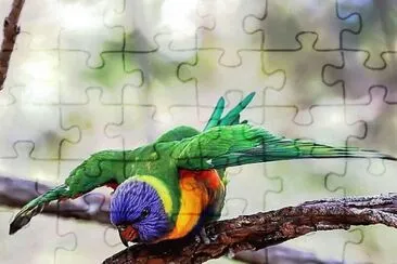 natural jigsaw puzzle