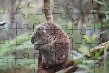 Imagem jigsaw puzzle