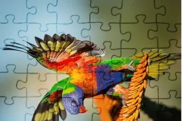 cores jigsaw puzzle